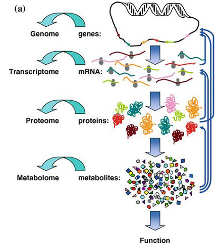 Introduction to Metabolomics – Proteome Software Technical Help Center